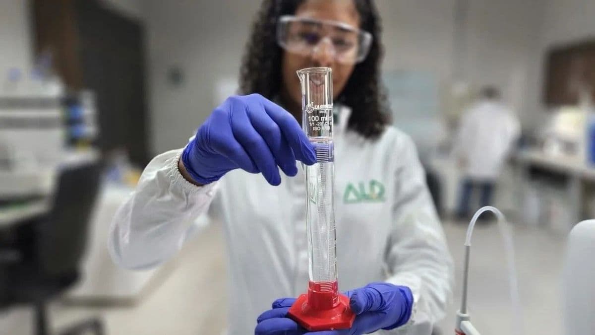 ALD Bioenergia recebe R$ 575 milhões para expandir produção em MT