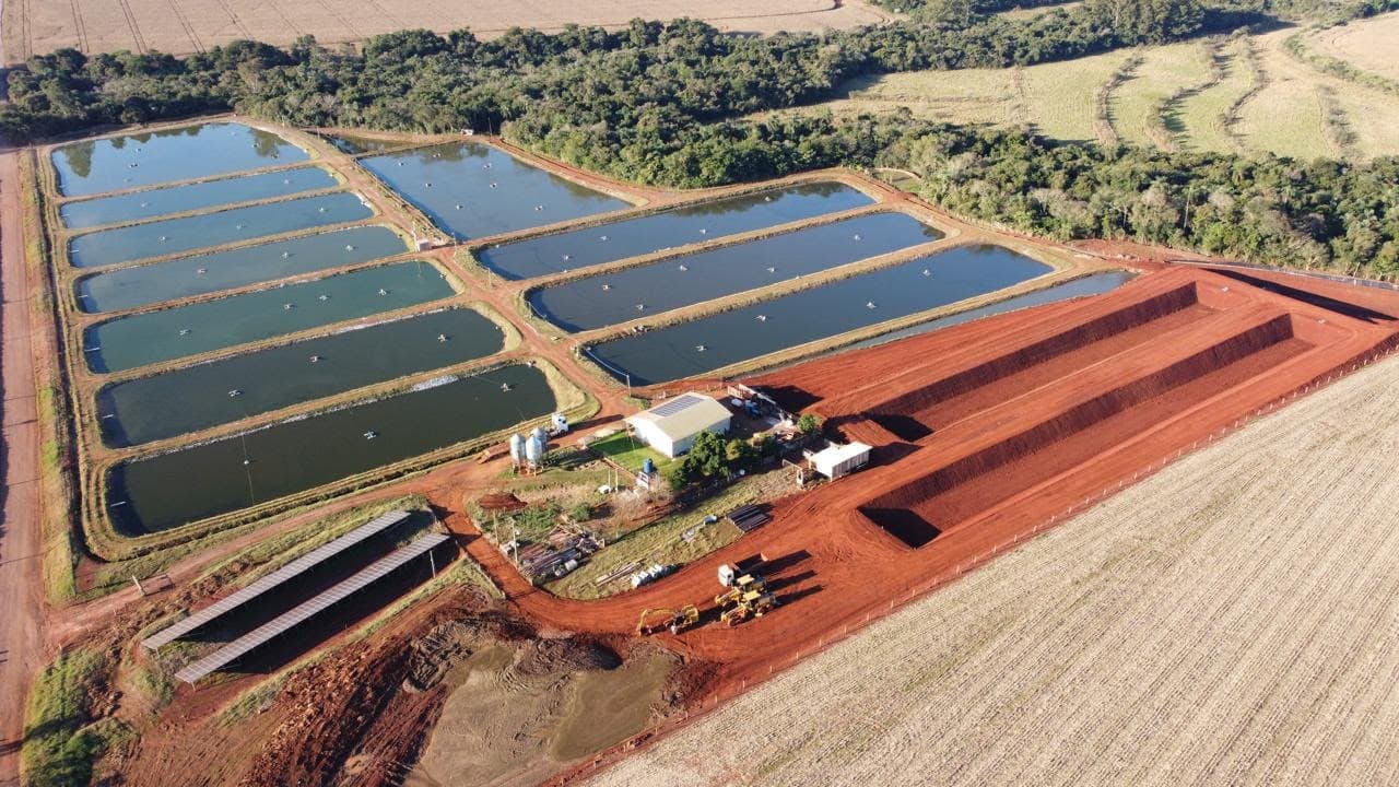 Irregularidades em piscicultura no Paraná afetam 10% das propriedades