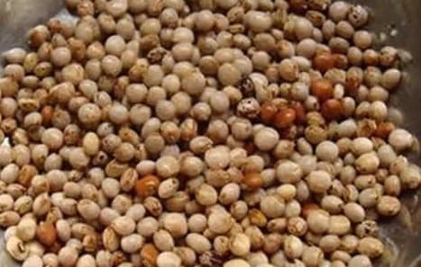 Preço do feijão cai após recordes históricos em março