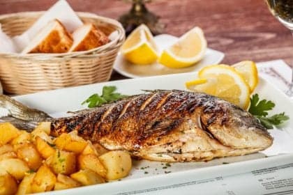 Peixes: aliados na hipertrofia muscular com 10 receitas práticas