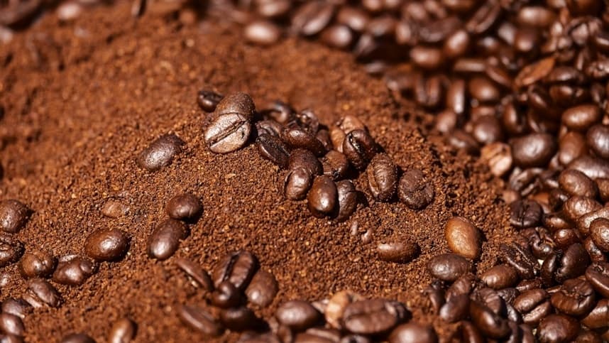 Impactos climáticos no cultivo de café no Vietnã