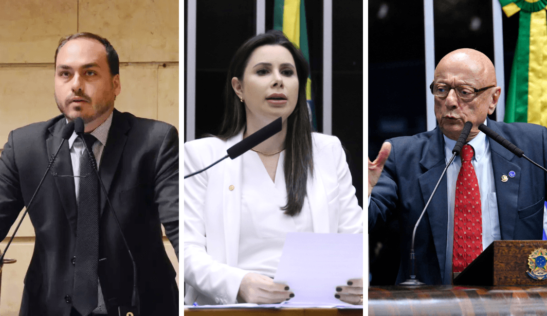 Carol de Toni lidera pesquisa para Senado em Santa Catarina