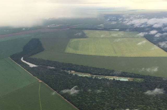 Valorização de terras agrícolas em SC atinge R$ 169 mil por hectare