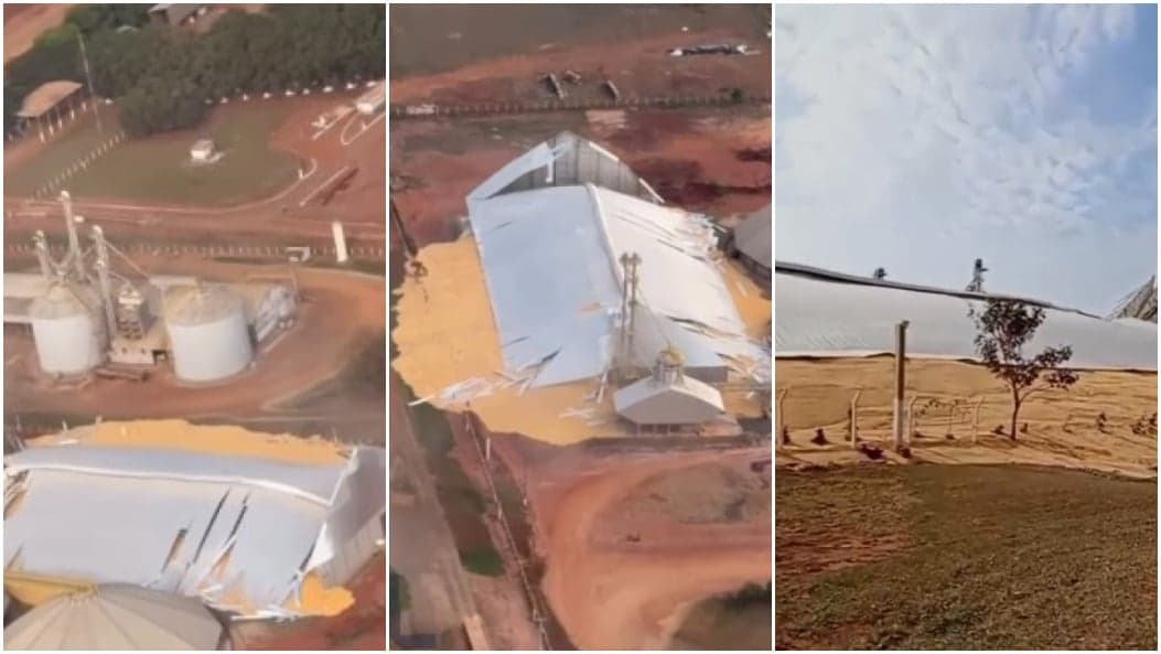Desabamento de armazém da Cooperoeste em MS espalha toneladas de milho