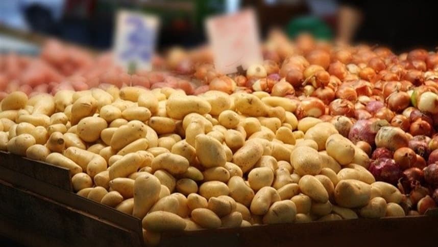 Doenças na batata são favorecidas por ambiente tropical.