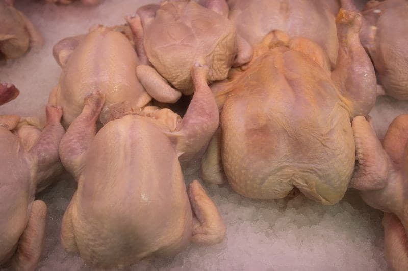 Brasil exporta 519 mil toneladas de carne de frango em julho