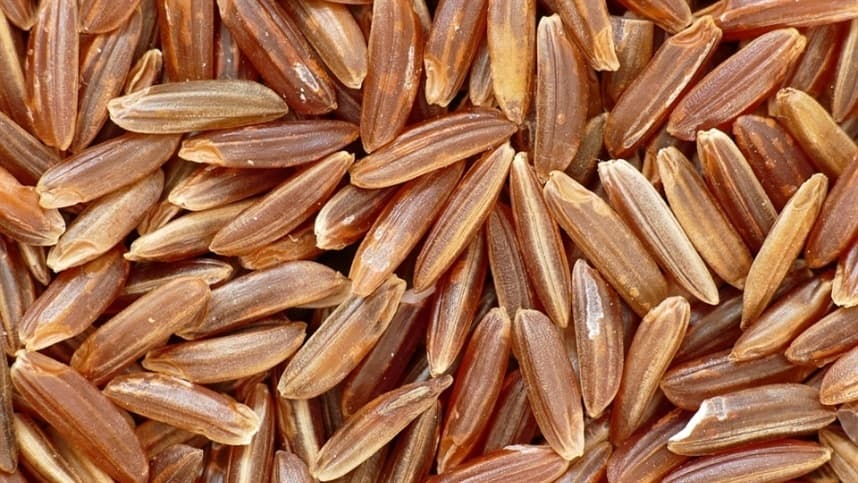 Exportações de Arroz do Brasil: Crescimento em Volume e Desafios no Mercado Internacional