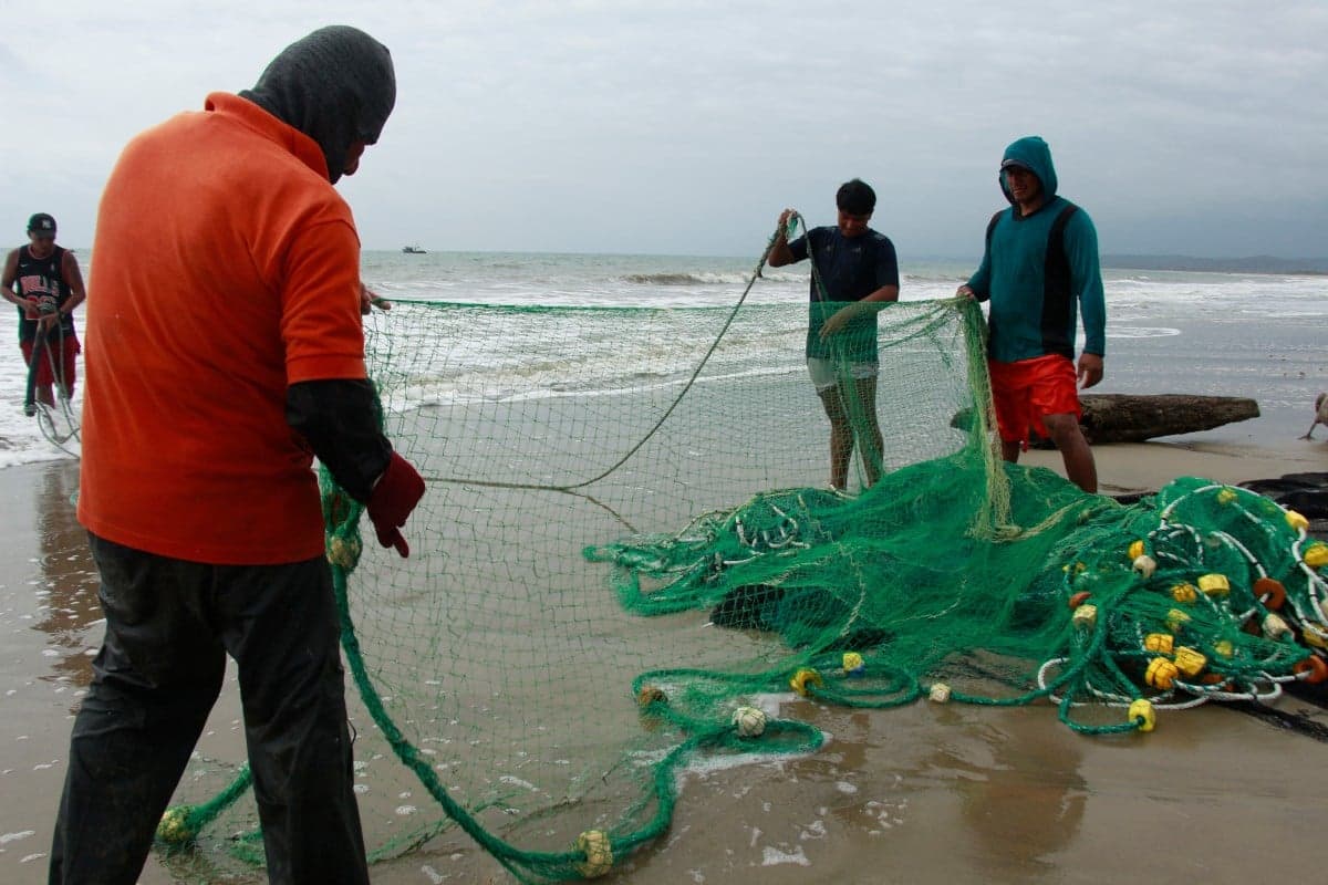 Aquecimento do oceano impacta pescadores do Pacífico oriental