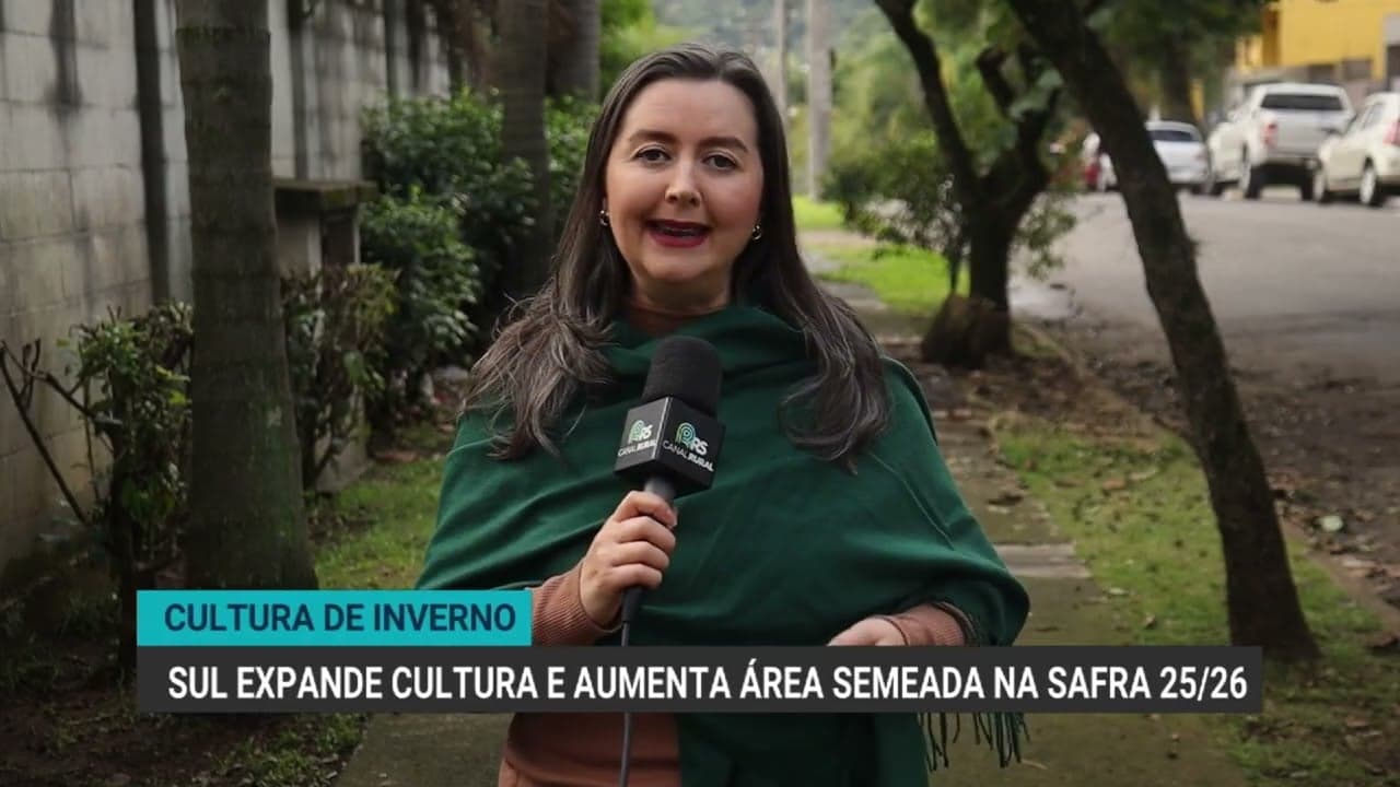 Cultivo de canola no Rio Grande do Sul quase dobra em 2026
