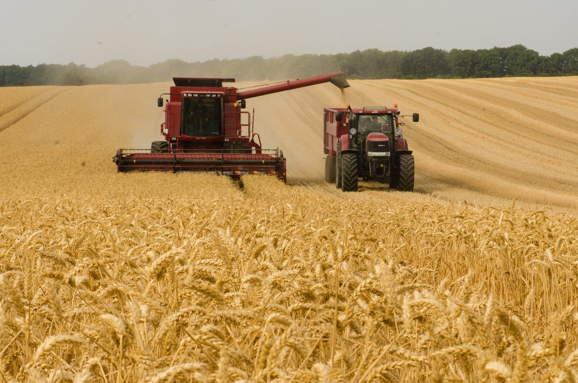 Agropecuária se destaca com crescimento de 2,8% no PIB