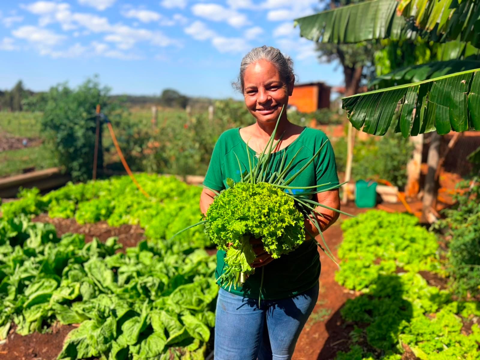 Horta em Bataguassu gera renda e transforma vida de produtora