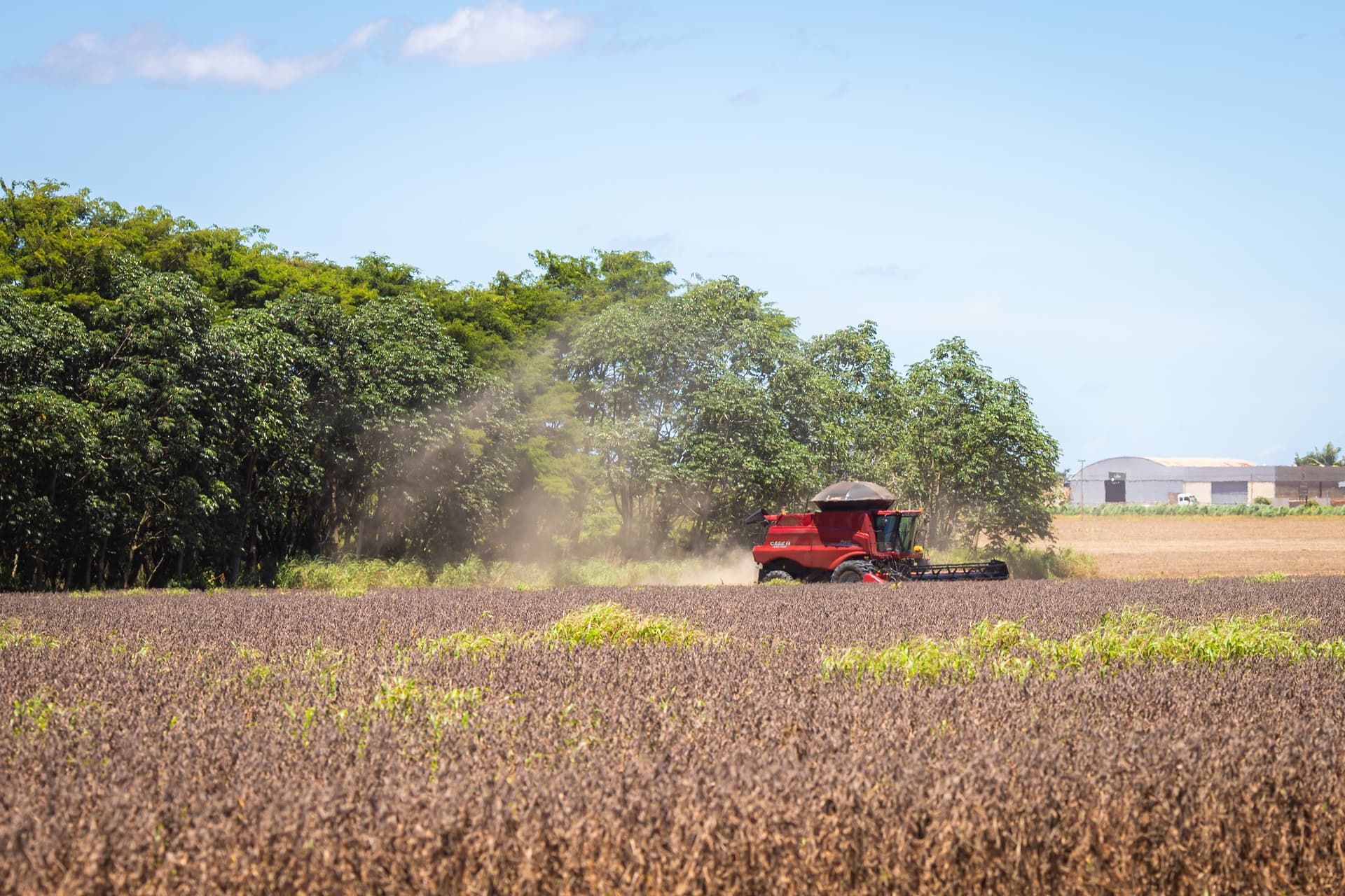 Agropecuária avança em renegociação de dívidas com MP em pauta