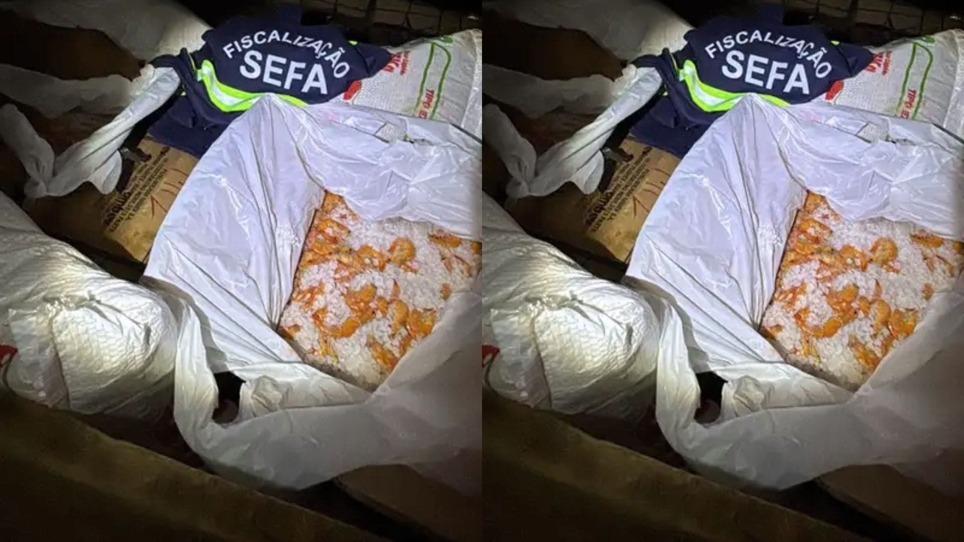 Sefa apreende oito toneladas de camarão salgado no Pará