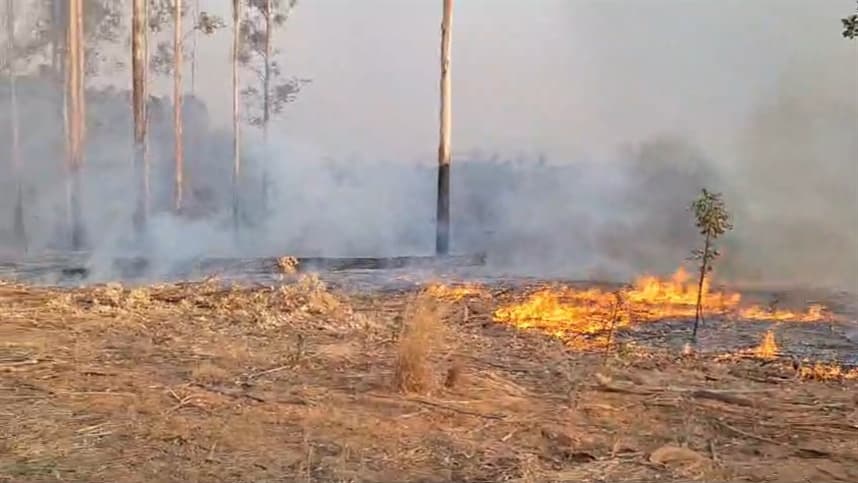 Cursos gratuitos ensinam prevenção de incêndios no campo