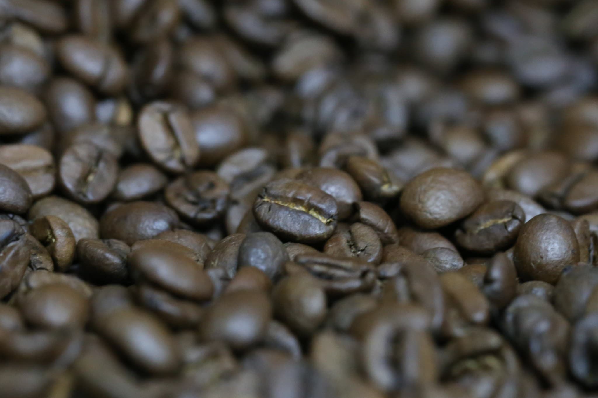Café em alta e cacau em baixa nas bolsas de commodities