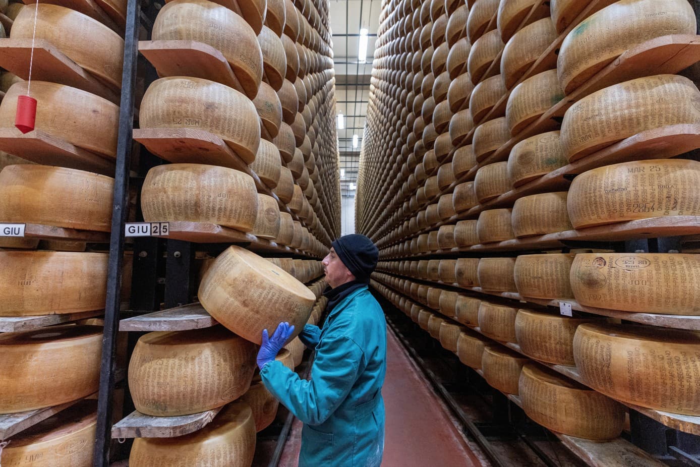 Calor extremo ameaça produção do Parmigiano Reggiano na Itália