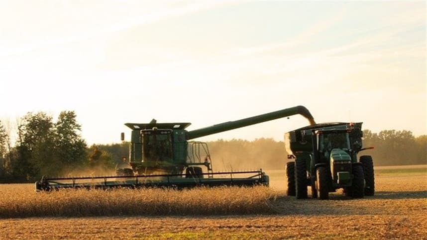 Soja encerra semana abaixo de US$ 13 por bushel na Bolsa de Chicago