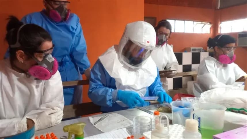 Hantavirose no Paraná: Monitoramento contínuo garante controle da doença