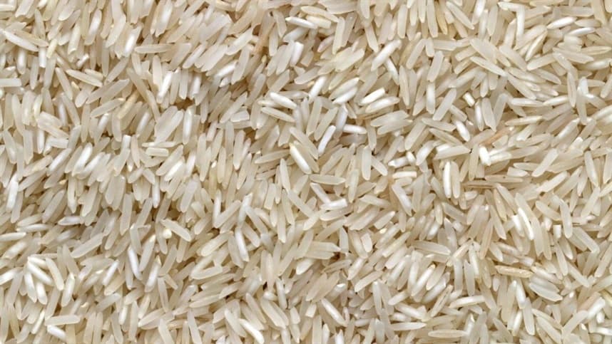 Mercado de arroz no Mercosul registra preços firmes e melhora no financiamento