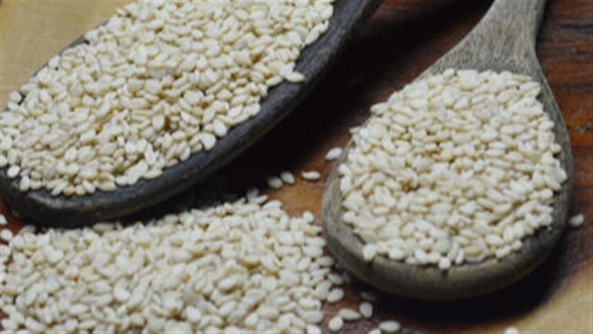 Parceria em Niquelândia potencializa bioeconomia com gergelim