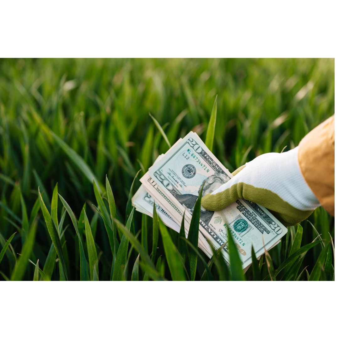 Fundo garantidor de investimentos no agro é discutido no Senado