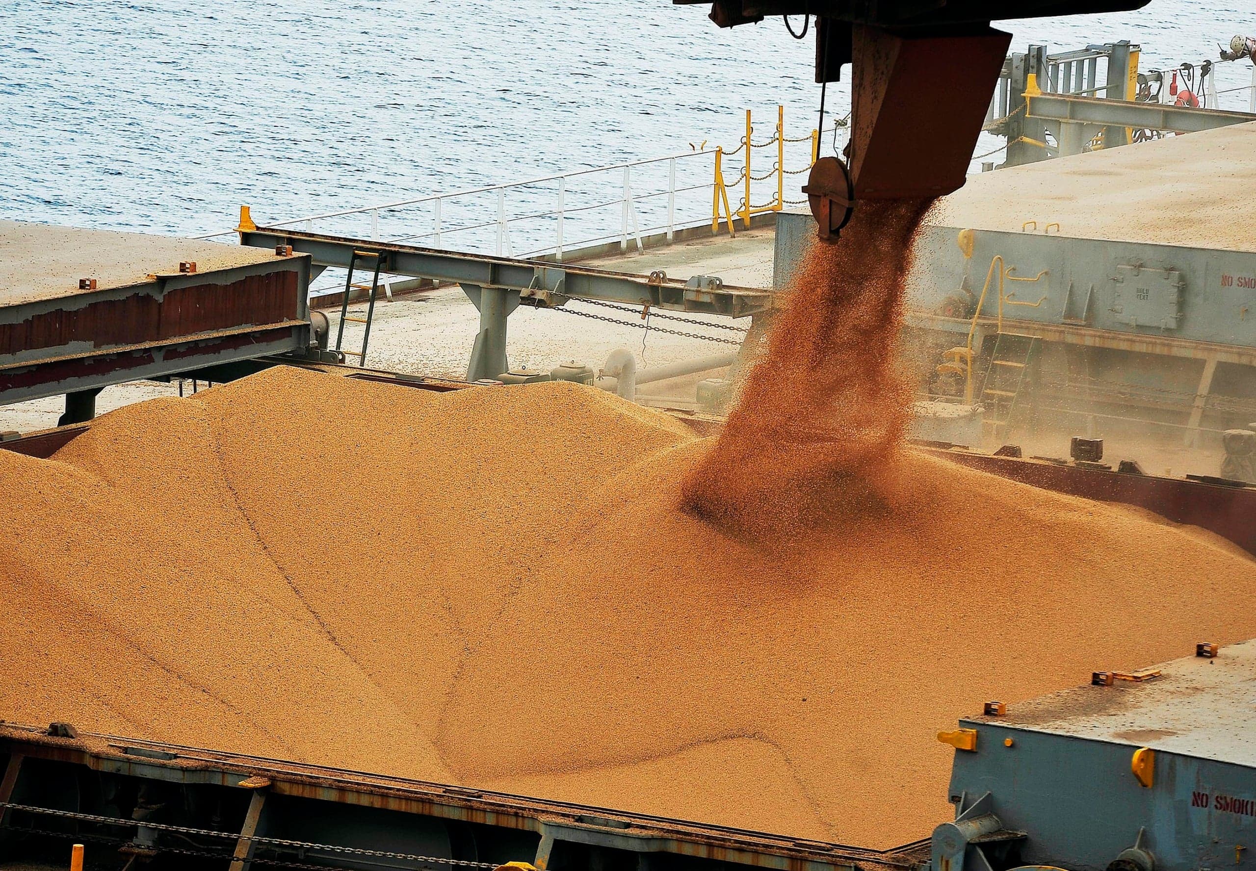 Soja e trigo têm queda nas exportações; milho registra alta
