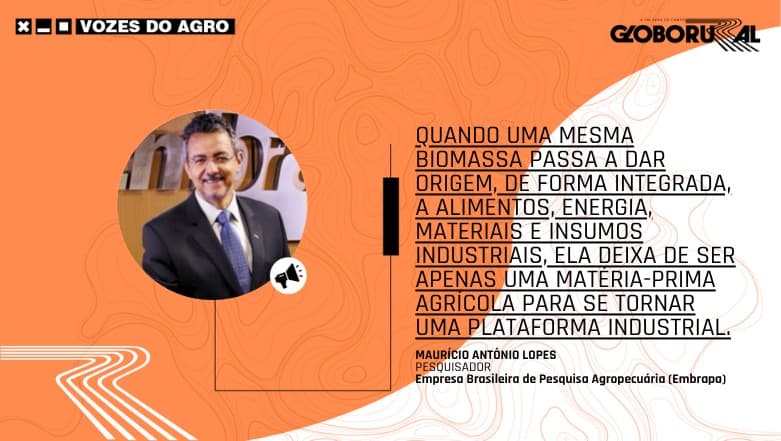 Transformação do milho no Brasil impulsiona a bioeconomia