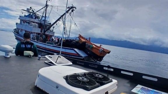 Ibama Apreende 1,5 Tonelada de Pescado em Fiscalização na Praia de São Paulo