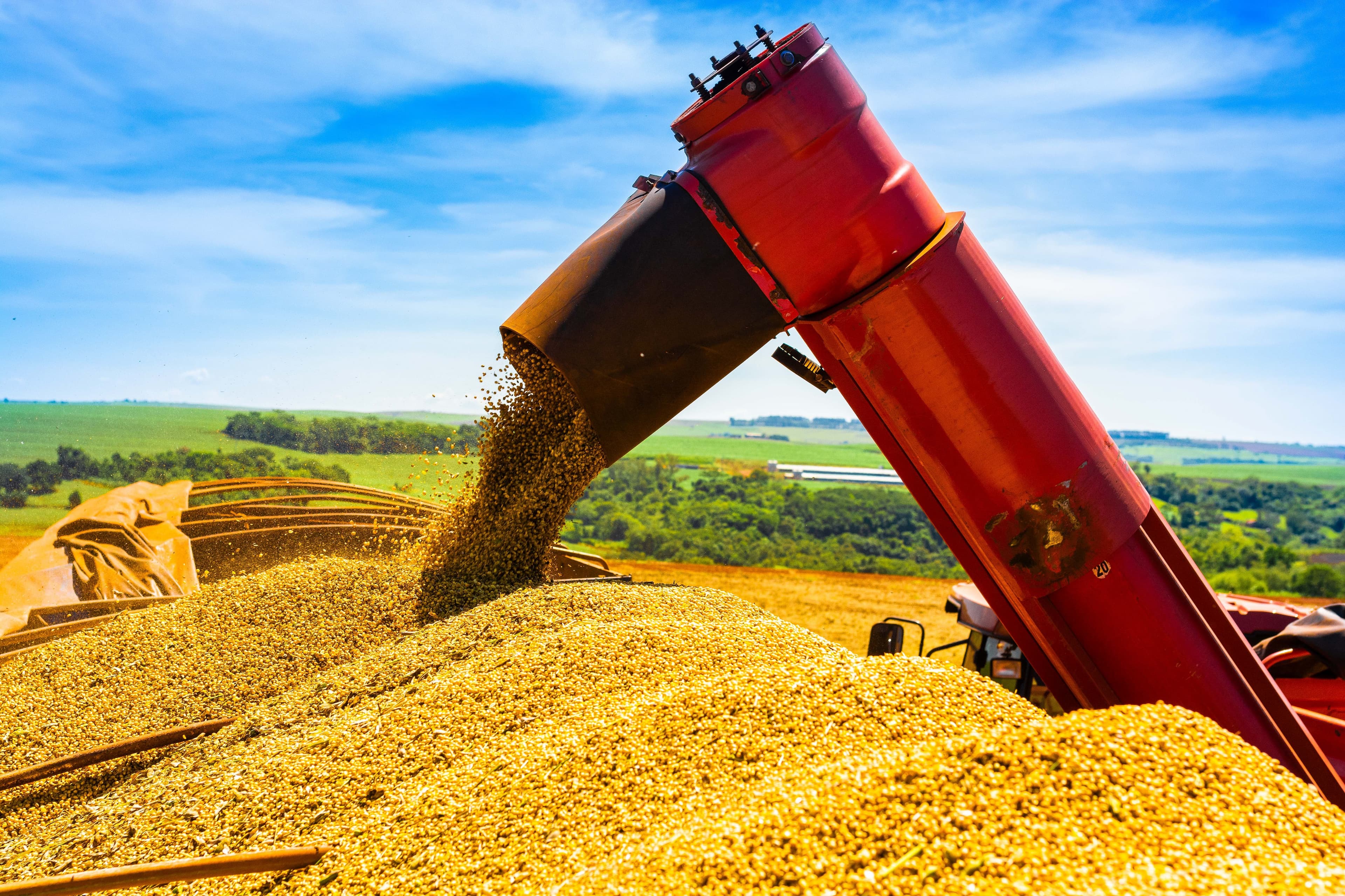 Crescimento do PIB agropecuário é de 2% no 1º trimestre