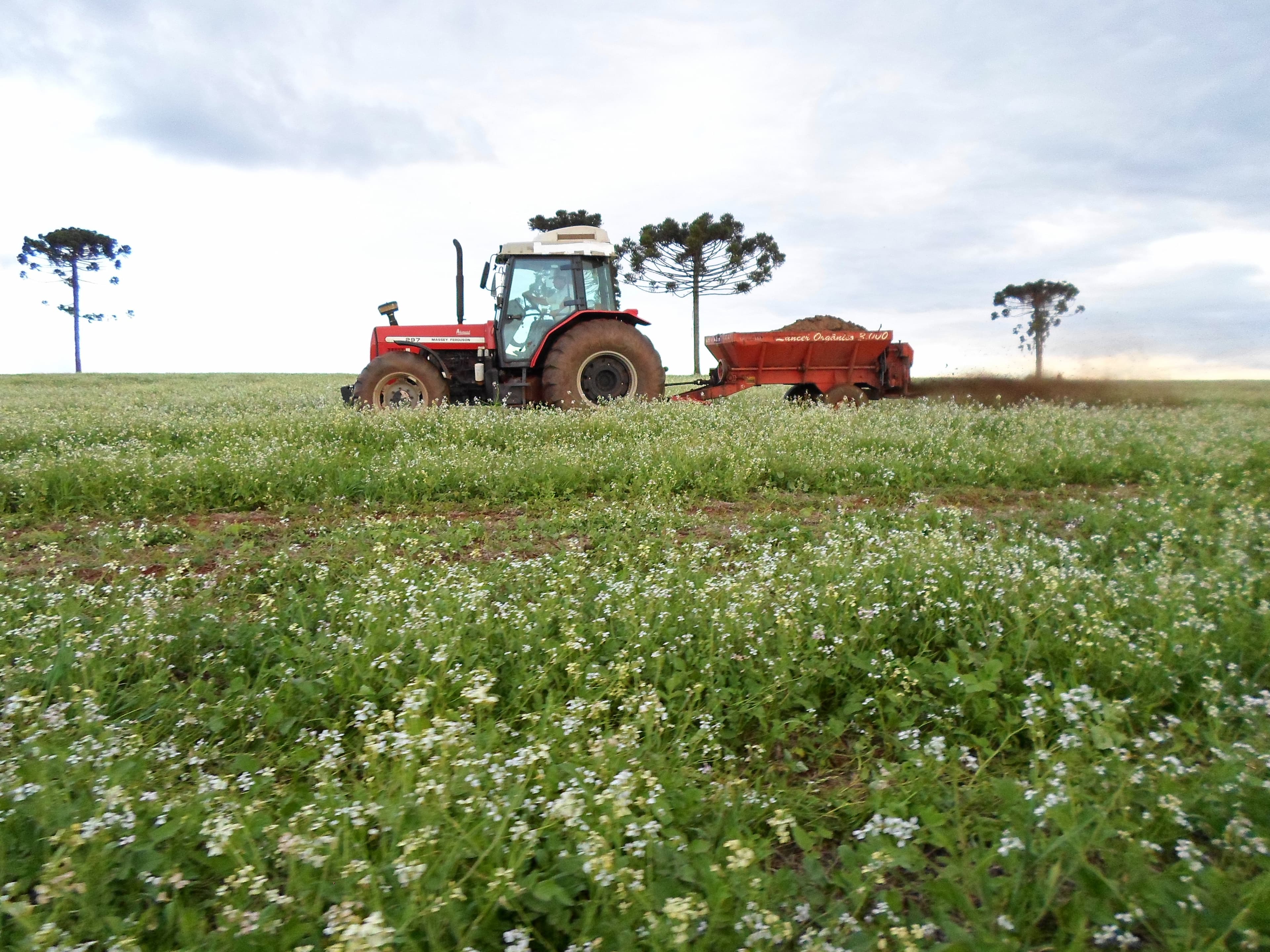 Uso de biossólido impulsa agricultura sustentável no Paraná
