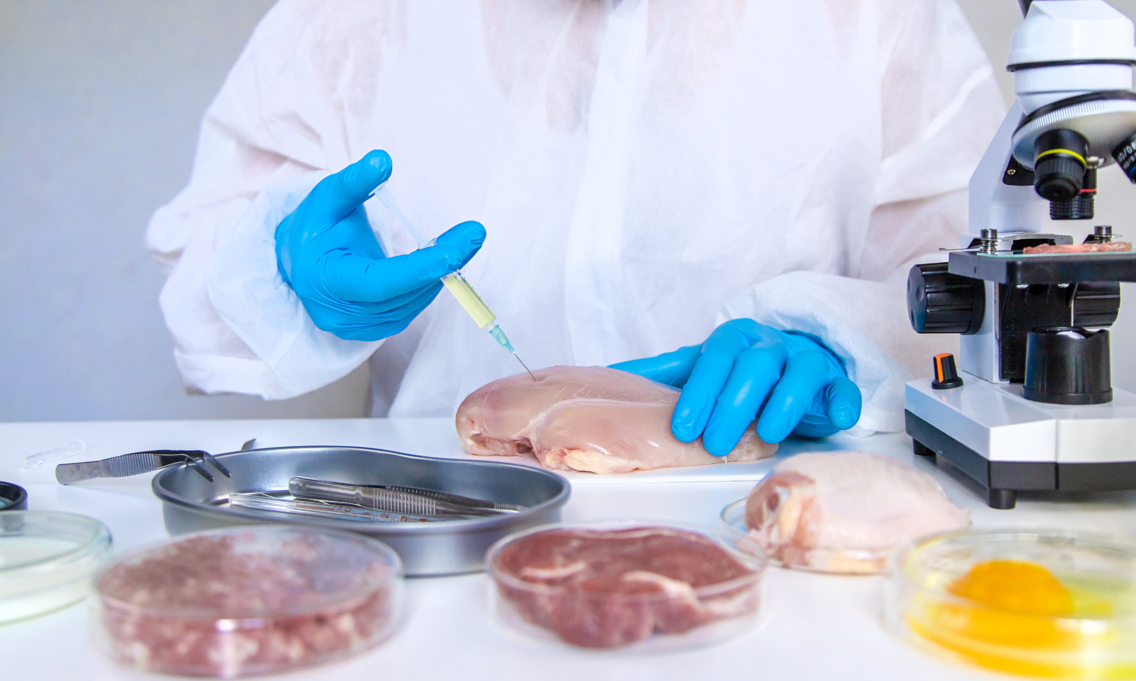 Tecnologia reduz Salmonella em 99,8% no processamento de carne de frango