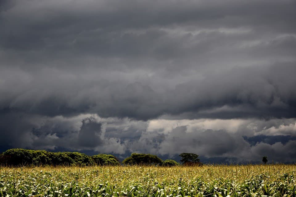 El Niño gera cobertura especial sobre impactos climáticos
