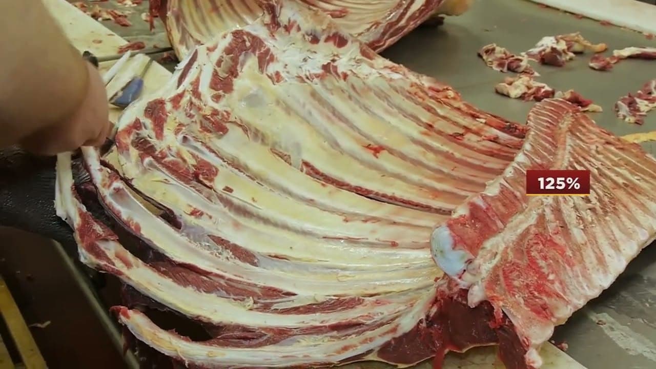 Avicultura de MS cresce com aumento no abate e exportações