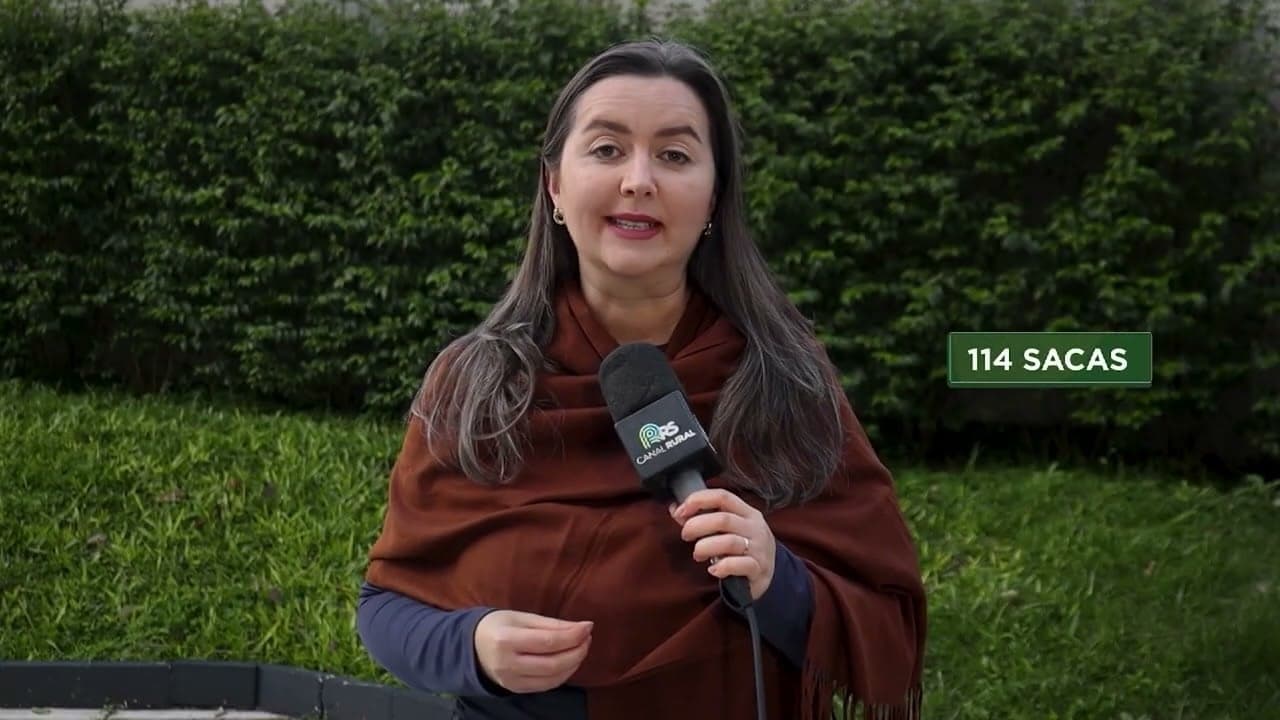 Escolha de cultivar de soja impacta lucratividade no Rio Grande do Sul