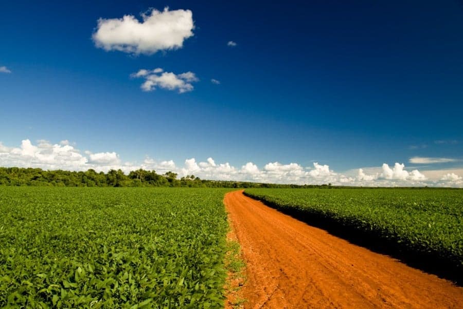 STF inicia conciliação sobre leis da Moratória da Soja