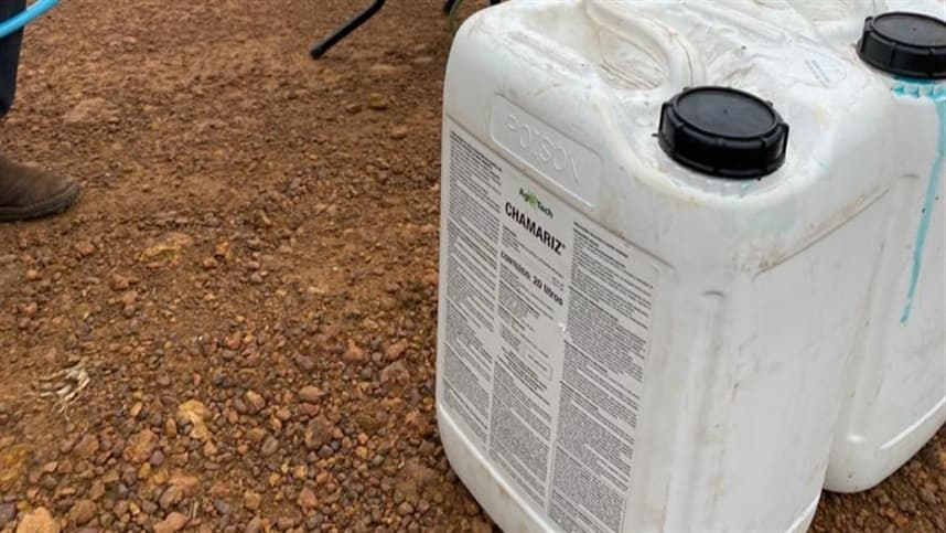 As 20 principais empresas de agroquímicos no mundo: ranking global