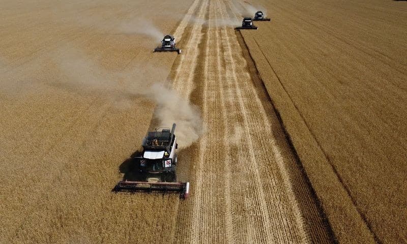 SovEcon reduz previsão de exportações de grãos da Rússia para 2026/27