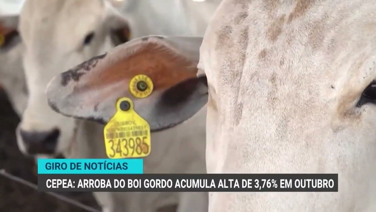 Agronegócio paulista registra superávit de 15 bilhões de dólares
