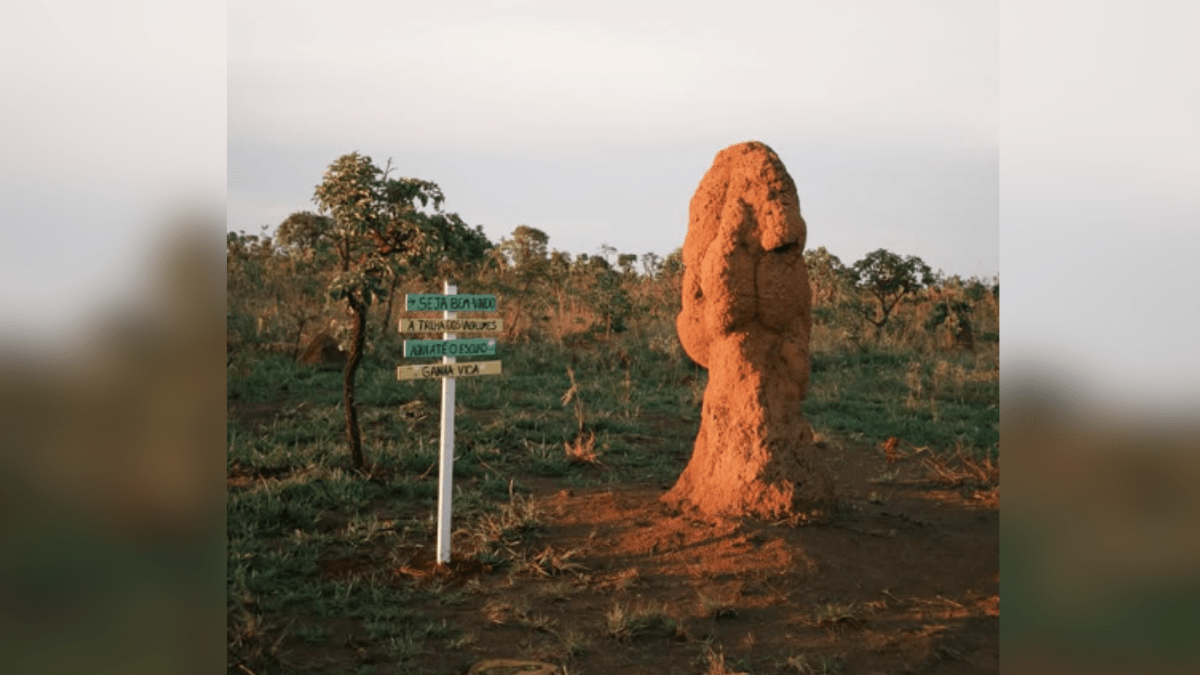 Professora desaparece no Parque Nacional das Emas durante atividade