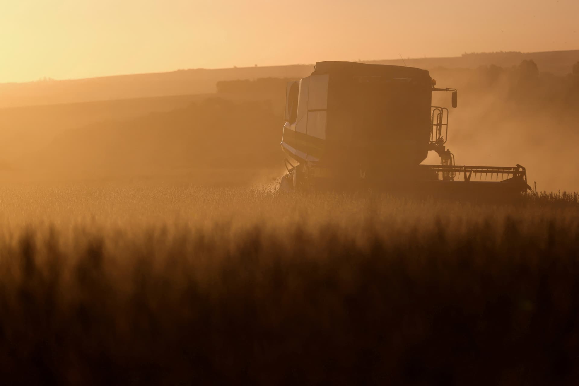 Inadimplência agrícola cresce e propriedades são leiloadas no Brasil