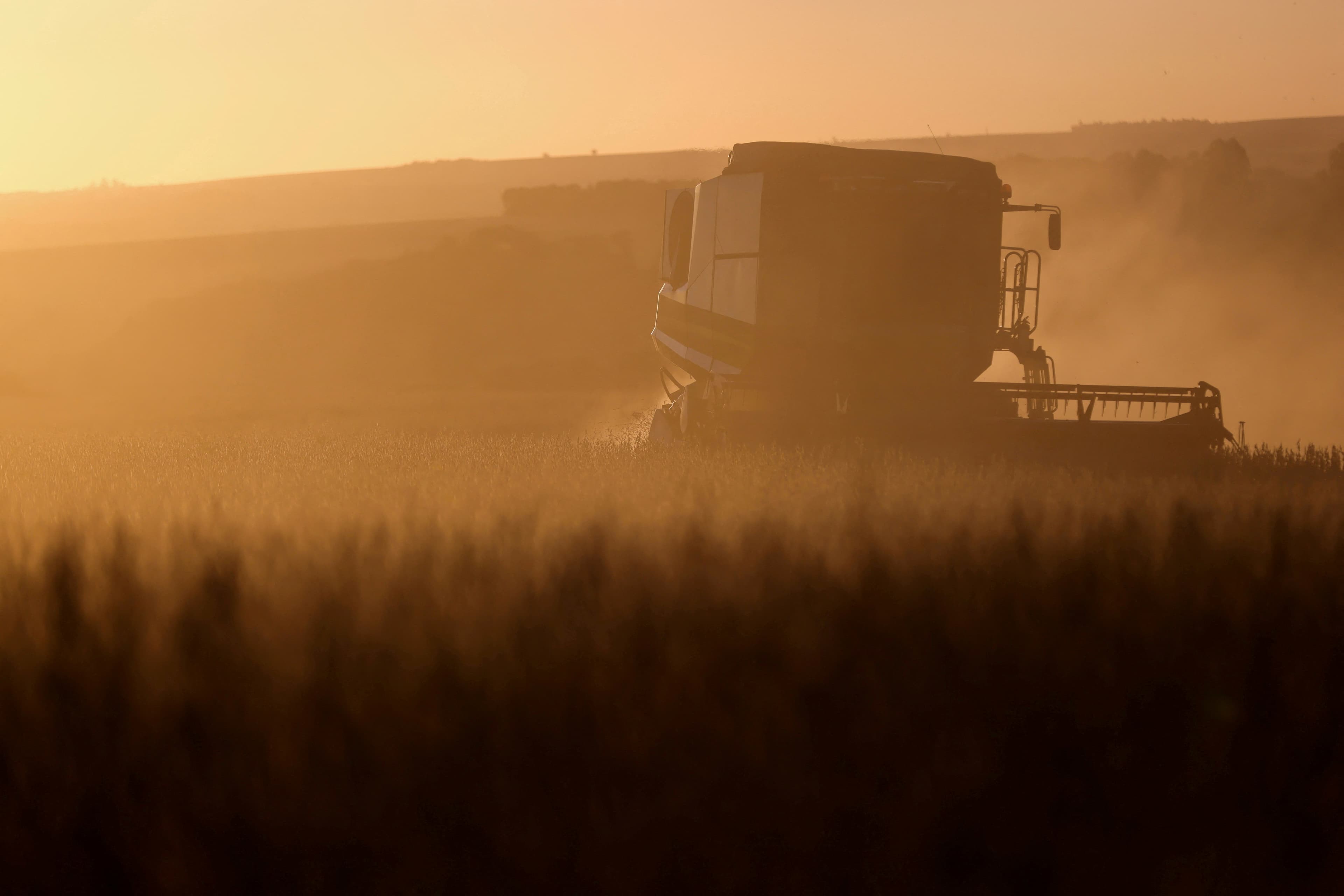 Inadimplência agrícola cresce e propriedades são leiloadas no Brasil
