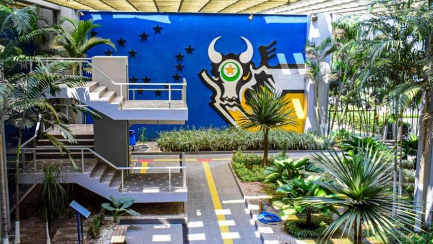 Mato Grosso Apresenta Novo Plano de Desenvolvimento Florestal e Biomassa