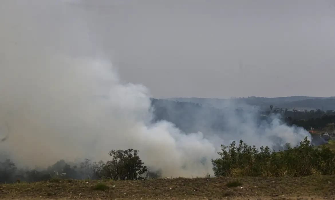Ministro da Agricultura cria grupo para avaliar impactos do El Niño