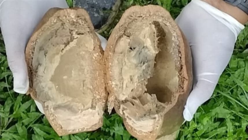 Suspeita de monilíase leva a investigação em Marechal Thaumaturgo