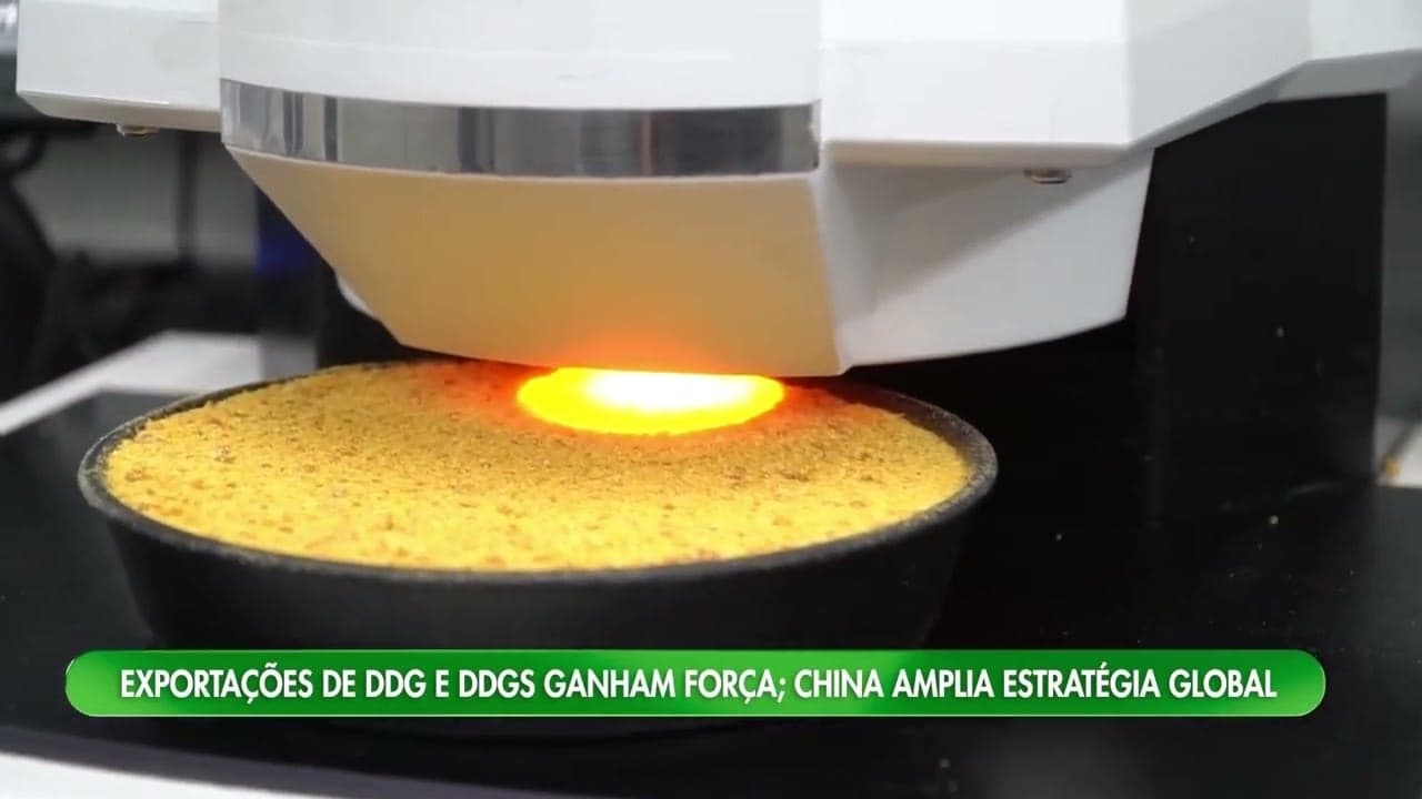 Brasil vê aumento nas exportações de DDG e DDGS com ingresso na China