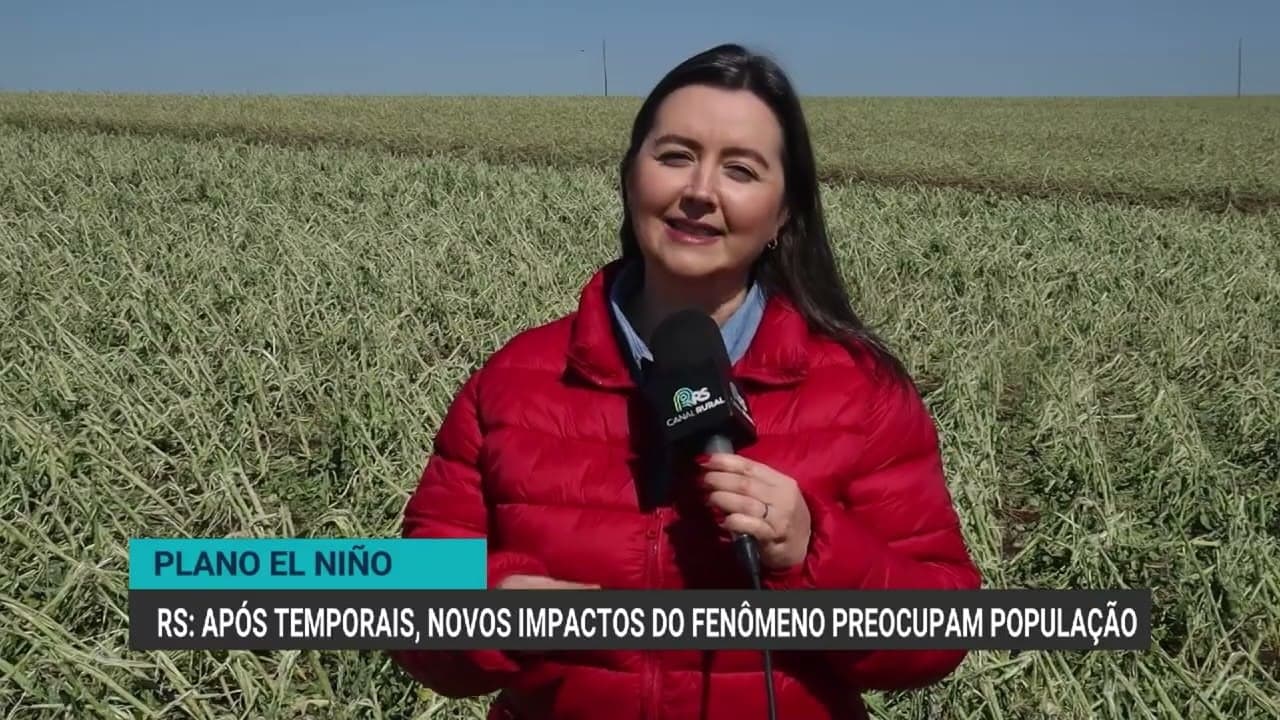 Agricultores do RS enfrentam desafios com El Niño
