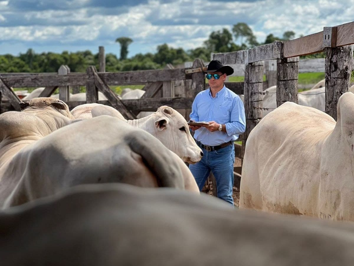 Geneplus da Embrapa celebra 30 anos e impulsiona produção de carne