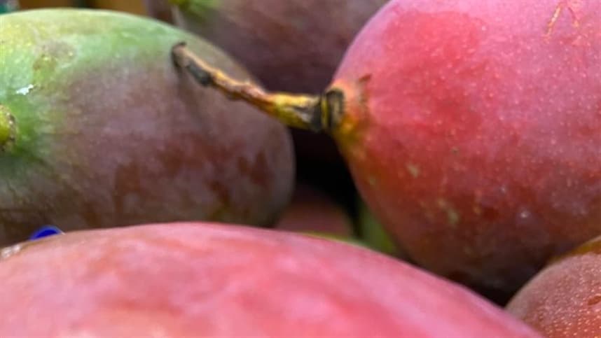 Aumento nas cotações de manga na primeira semana do mês