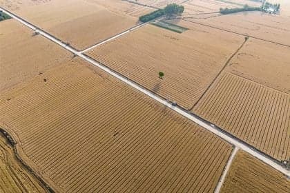 China intensifica busca por autossuficiência alimentar e impacta Brasil