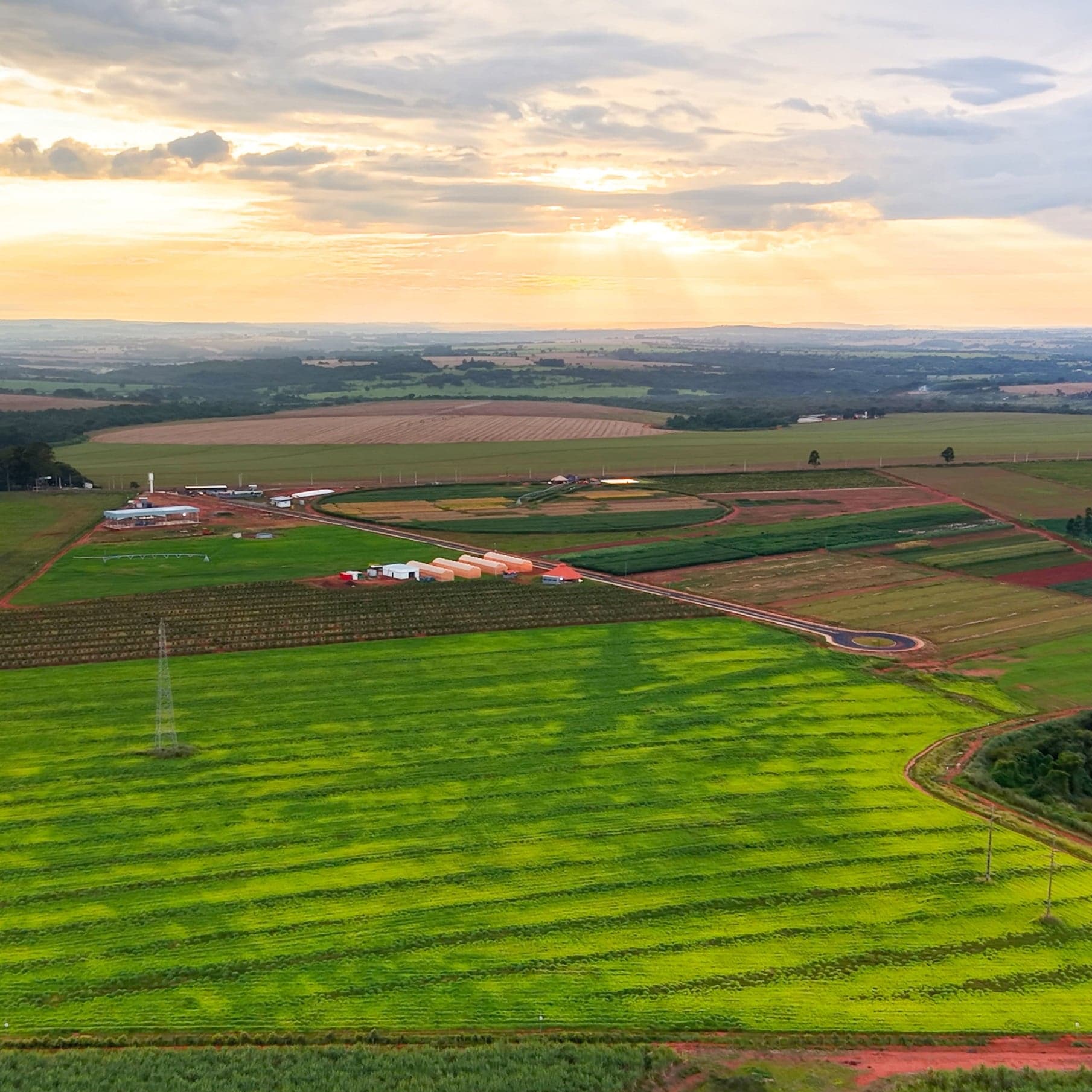 Nova lei do seguro rural no Brasil é sancionada com vetos